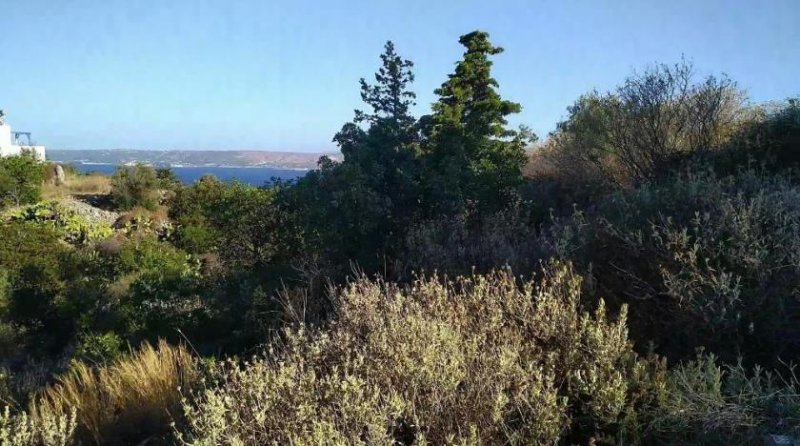 Kokkino Chorio MIT VIDEO: Kreta - Kokkino Chorio - großes Baugrundstück in der Mitte des Dorfes mit Meerblick zum Verkauf Grundstück kaufen